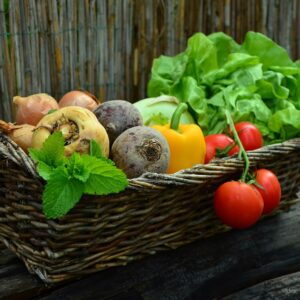 Essential Nutrition